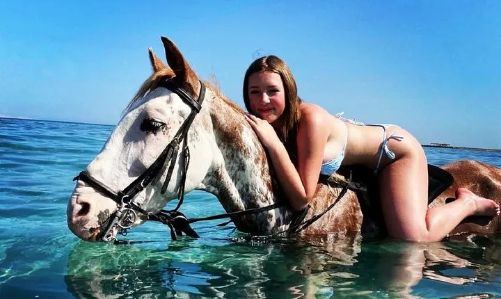 Swimming By Horse in Red Sea, 3-hours Tour Sea & Desert -Hurghada