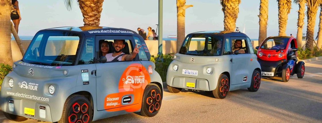 Malaga electric car night tour