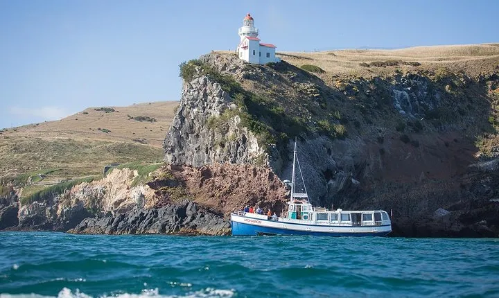 City to Sea Wildlife Cruise + Peninsula Bus Tour