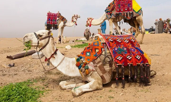 8-Days Luxury Egypt Budget Price,Pyramids,Red Sea,Luxor Tours & Plane From Cairo