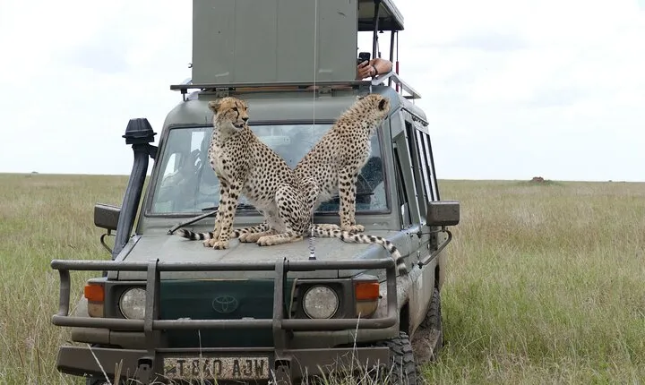 5 Days in to the heart of serengeti