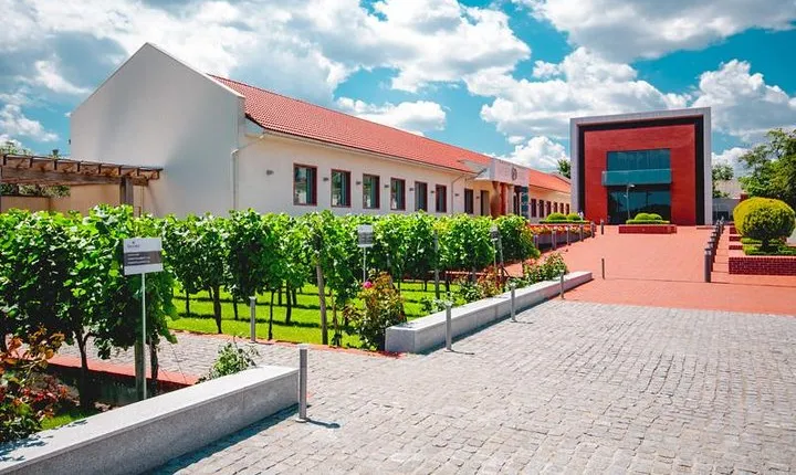 Full-Day Shabo Wine Culture Center Private Tour in Odessa