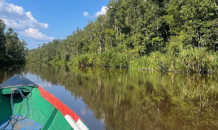 Ethical Orangutan River Cruise around Tanjung Puting 1D0N