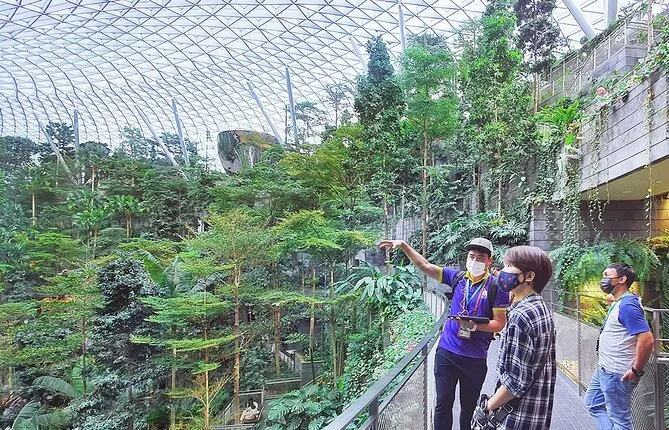 Small Group: Changi Airport & Jewel Changi Guided Tour