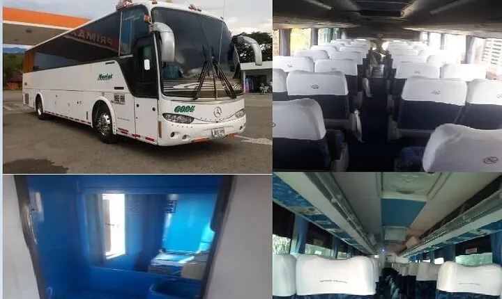 transportation services in buses and van of various quotas full availability