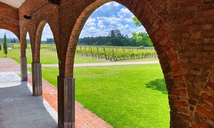 Half Day Private Canelones Wine Tour from Montevideo 
