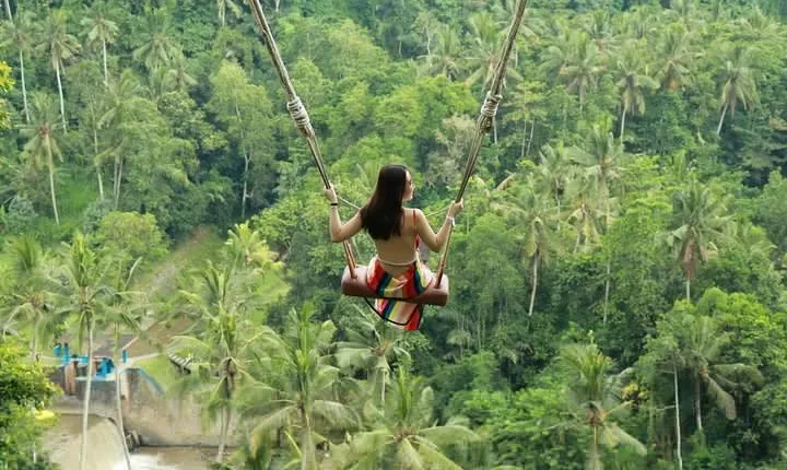 Ubud Private Tours with Jungle Swing Experience - all inclusive