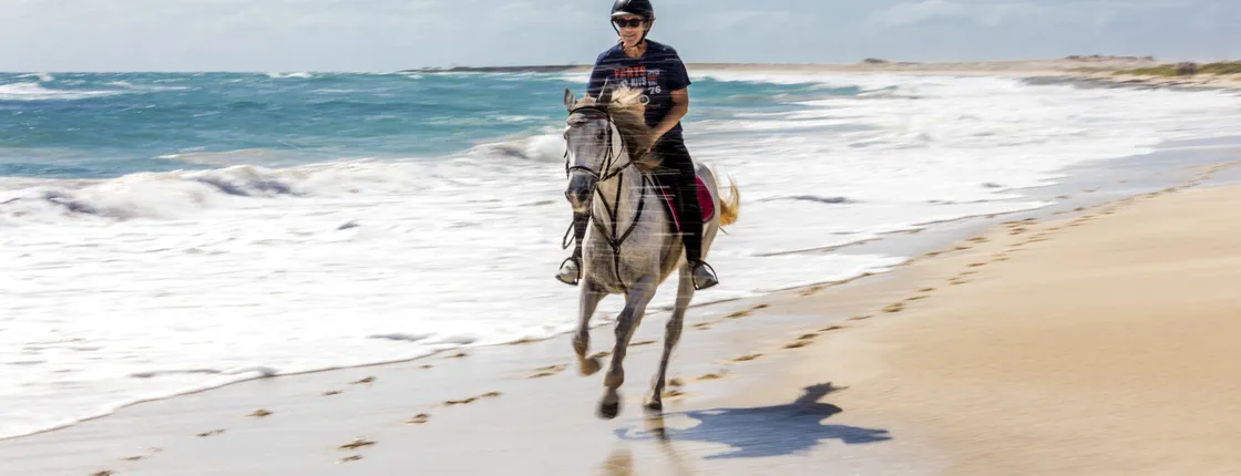 Horse Riding