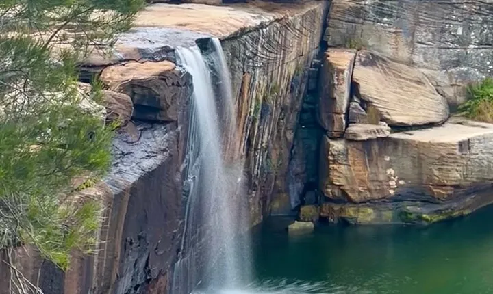 Royal National Park Hike, Swim and Wildlife Tour