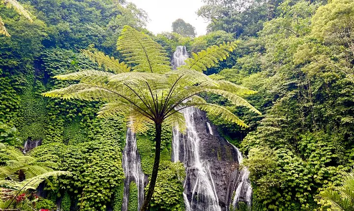Bali Secret Waterfalls: Banyumala & Leke Leke Waterfalls
