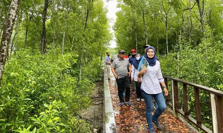 Royal Klang Town Heritage Walk plus Mangrove Point with Pickup