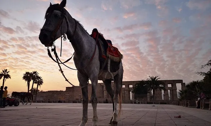 Full-Day Trip to Luxor by Plane from Cairo