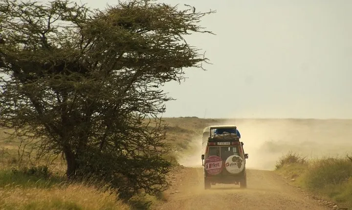 14 Day Rwanda, Tanzania & Kenya : Gorillas, Serengeti Safari