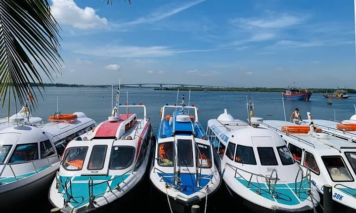 Cham Island Trip by Speed Boat including Snorkeling from Hoi An or Da Nang