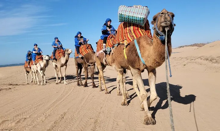Essaouira 1-Hour Discovery Ride on a Camedary