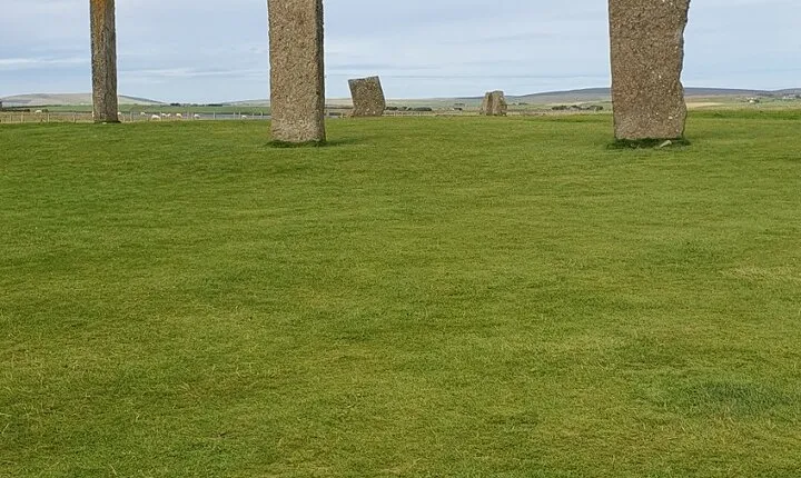 Bespoke Private Guided Tours