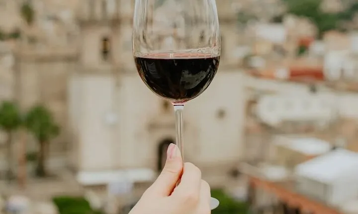 Private Tour in Jalostotitlán and Cerca Blanca Vineyard