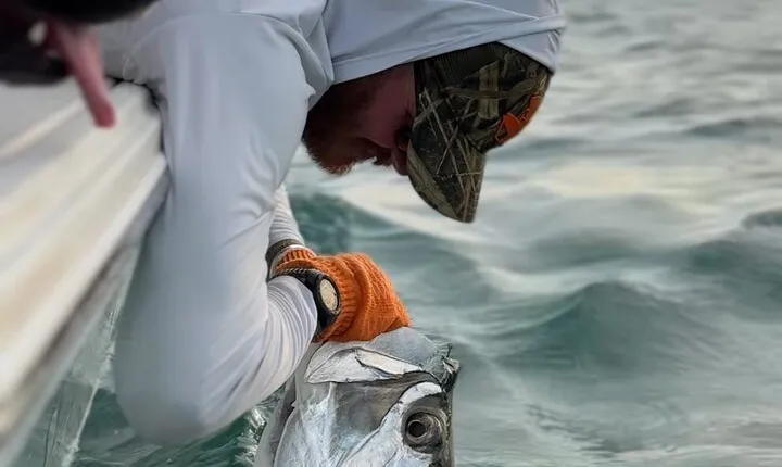 4 Hour Sunset Seasonal Tarpon Charter from Key West