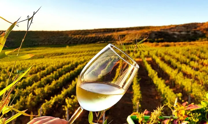 Durrës Countryside Vineyard Experience with Wine & Food Pairing