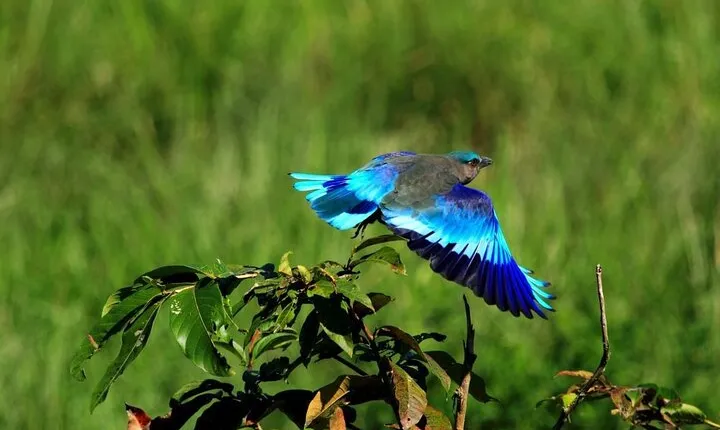 Private Taj Mahal and Bird watching Tours 2 Night 3 days