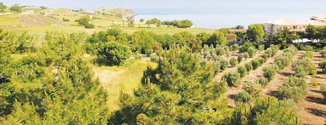 Lesbos 4x4 Safari Tour