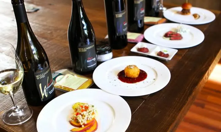 Icon Wine & Food Pairing at Williamson Wines in Healdsburg