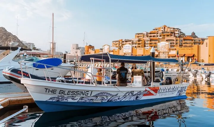 Private Half-Day Boat Diving Tour