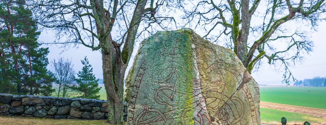 Private individual 3-hour Viking tour