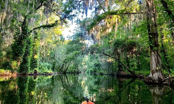 Wild Florida Kayak and Paddleboard Adventure on Dora Canal