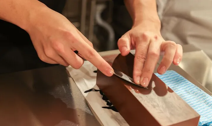 Knife Sharpening Experience in Tokyo