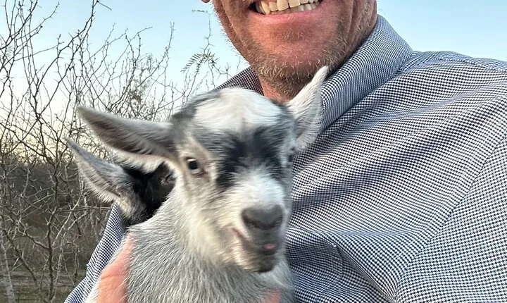 Birds, bees, plants and goats.