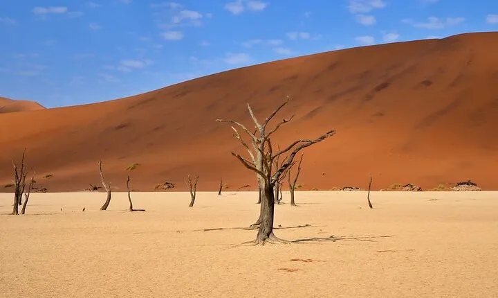 10 Day Discover Namibia Small Group Safari