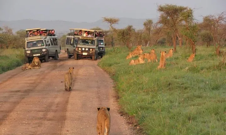 3days Tarangire,Ngorongoro Crater and lake Manyara