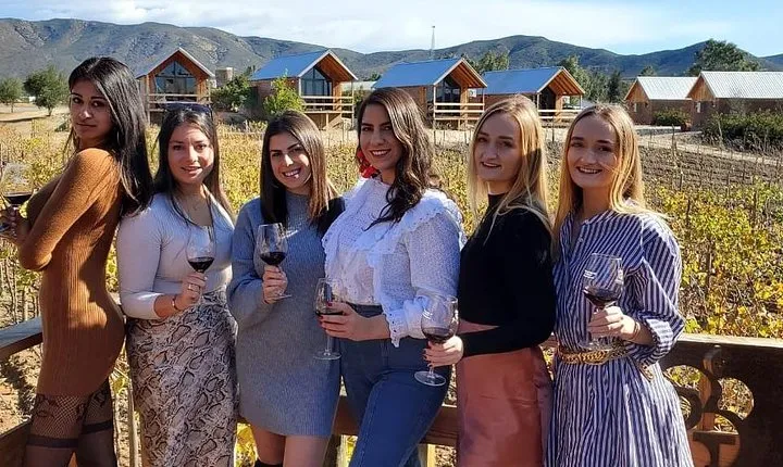 Valle de Guadalupe Wine Tour