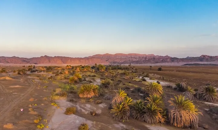 Luxury Sunset Safari to the Oasis & Starlit Dinner from Hurghada