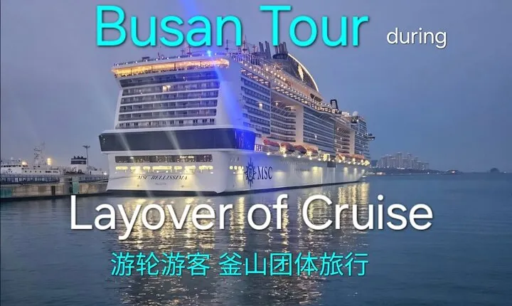 [small group] Busan Tour for Cruise ship passengers