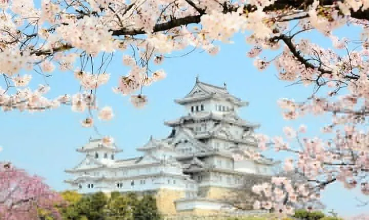 Himeji Full-Day Private Tour with Government-Licensed Guide