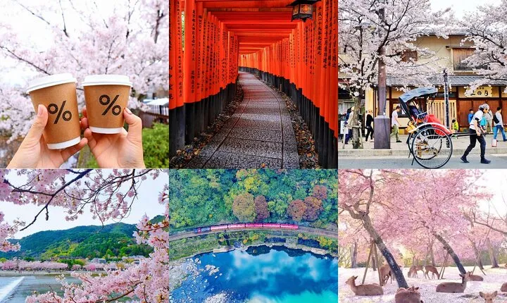 Osaka-Kyoto-Nara Private Full Day English Tour With Hotel Pick Up
