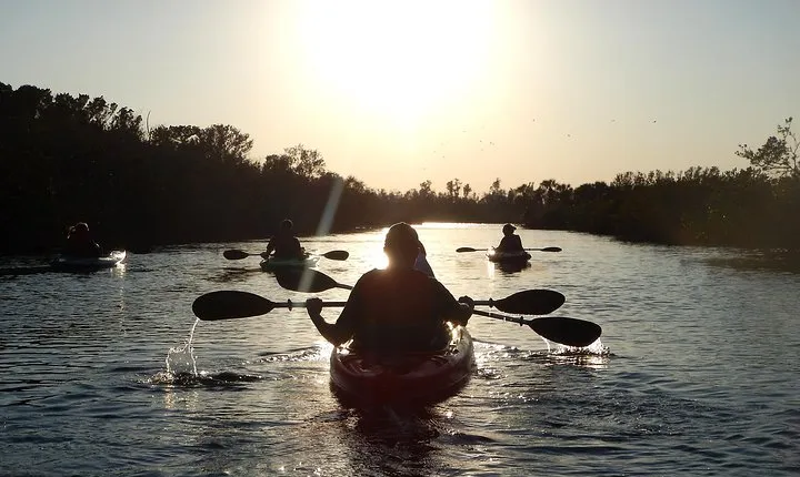 Manatees/Sunset/Bioluminescence Tour