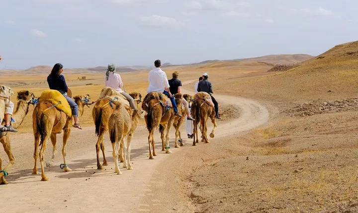 Marrakesh Day Trip From Casablanca With Camel Ride And Lunch At Agafay Desert