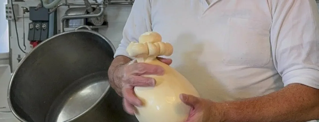 Visit to Masseria Cappella with Mozzarella and Bread Making Workshop