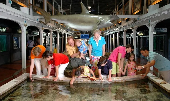 Key West Aquarium Admission