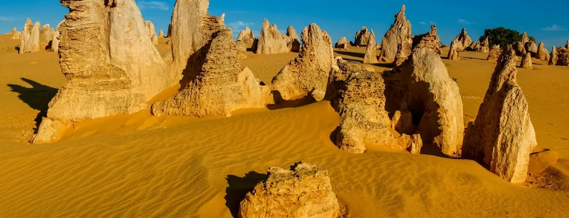 Pinnacles and Swan Valley Full-day Guided Tour