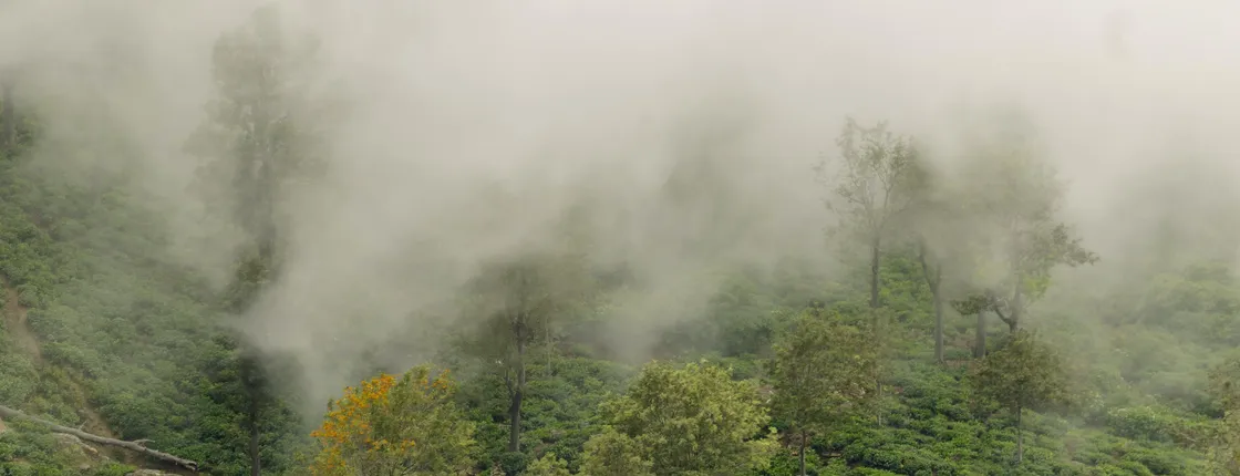 Dothulugala Peak and Mini World's End hike from Kandy