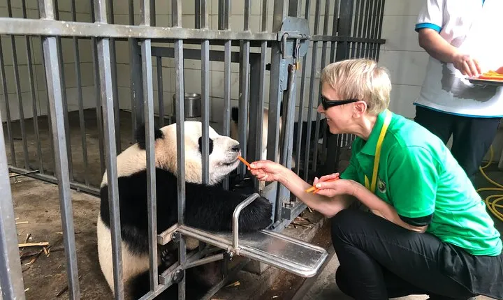 Dujiangyan Panda Base Volunteer Experience Trip