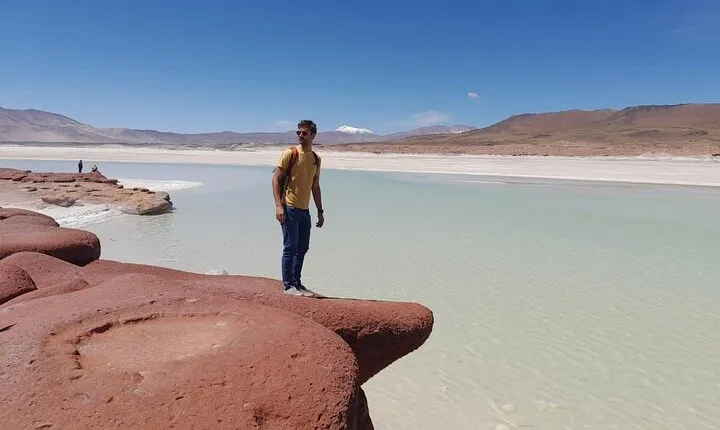 Piedras Rojas Salt Flats and Altiplanic Lagoons