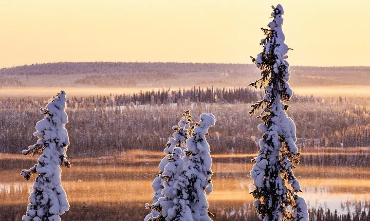 Snowmobile Driving - Morning start