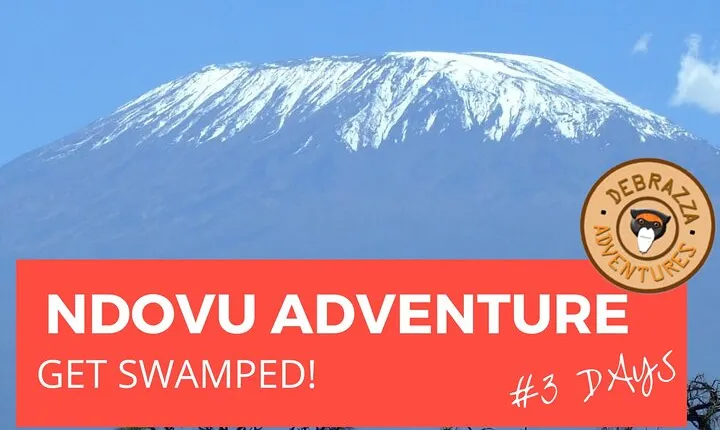 Walk with Elephants in Amboseli.