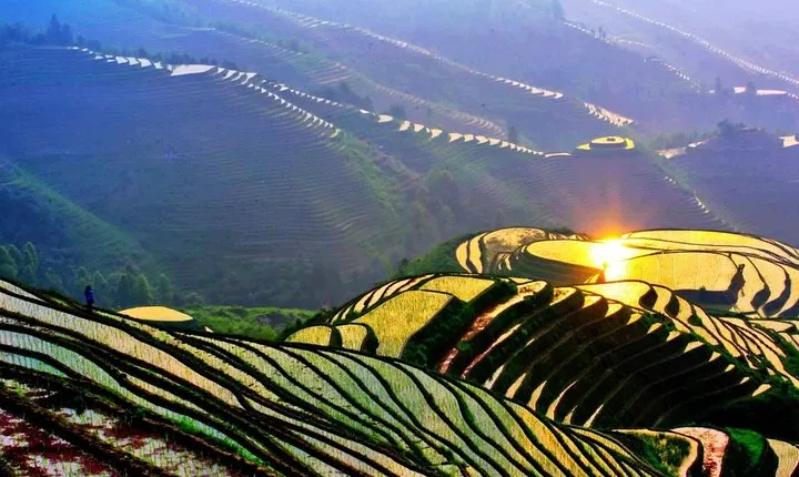 Longji Rice Terraces Field Private Full Day Tour