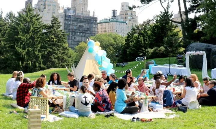Central Park Luxury Picnic for 5 to 8 Person